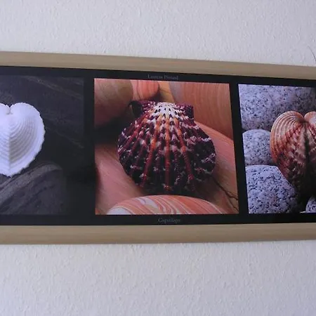Διαμέρισμα Haus Zwischen See Und Wald - Fewo Muschelsucher *